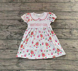 birthday girl cake short sleeve girl dress