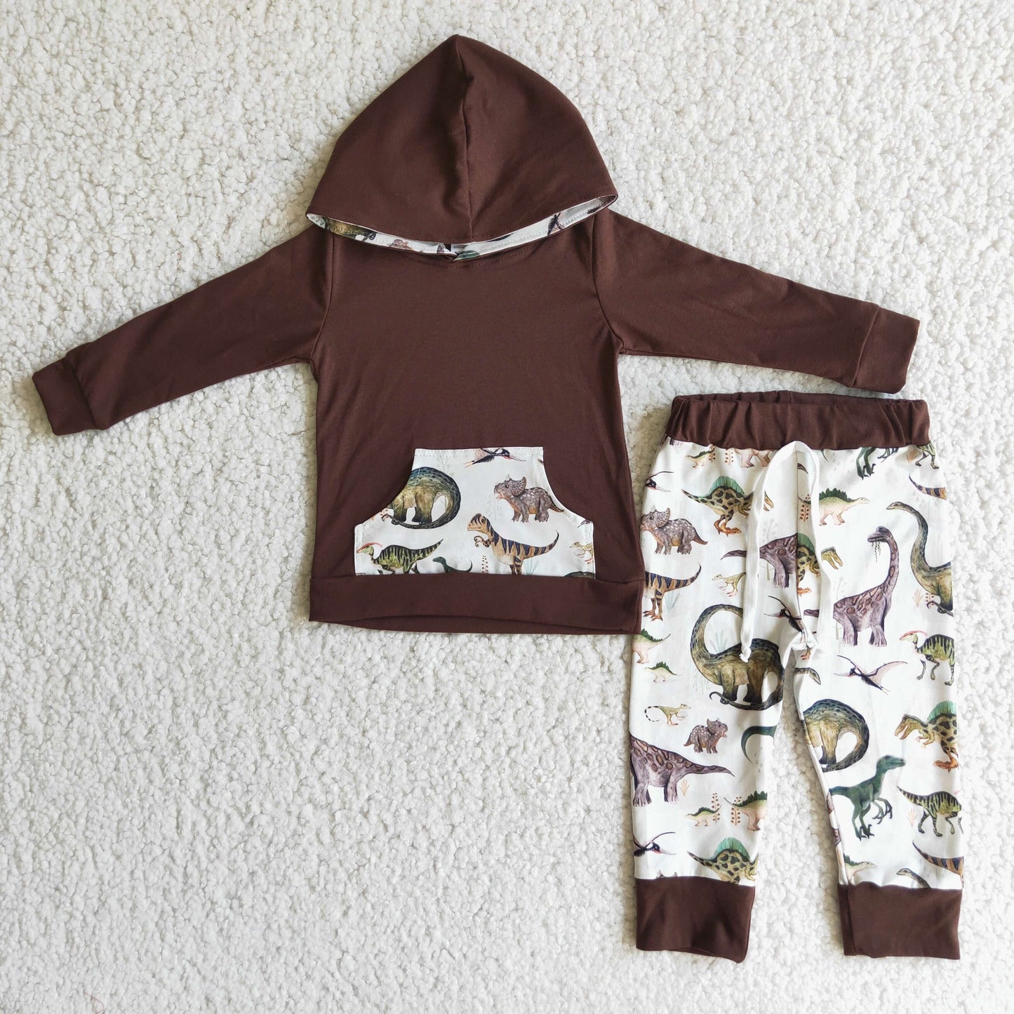 Brown Boy Dinosaur Hoodies Outfit